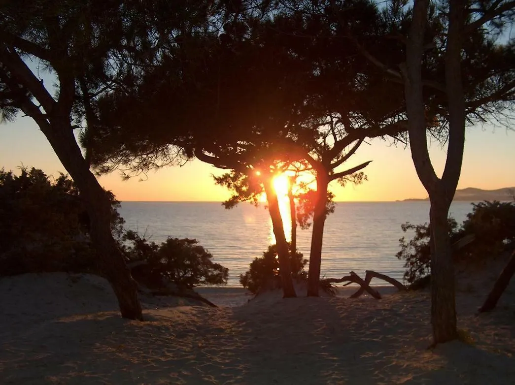 Regina Apartments Alghero Italien